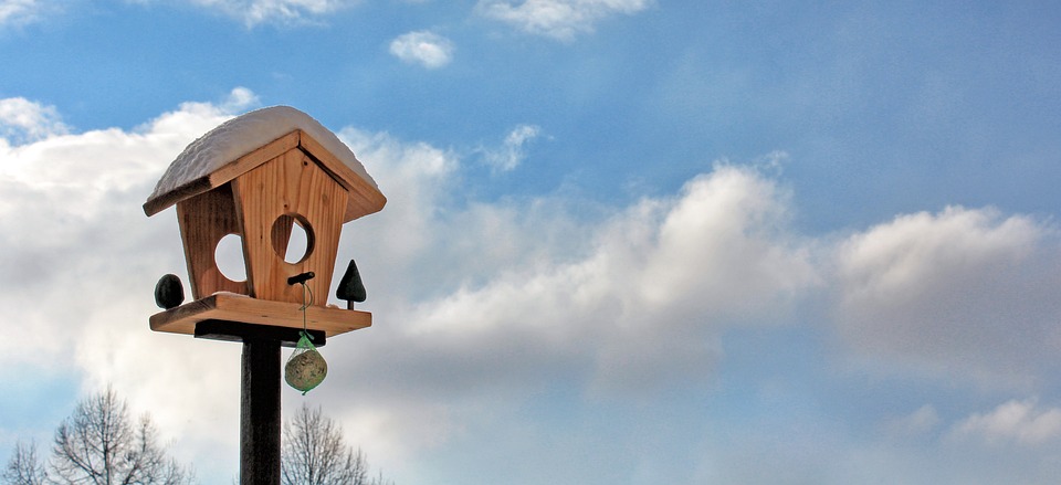 diy house