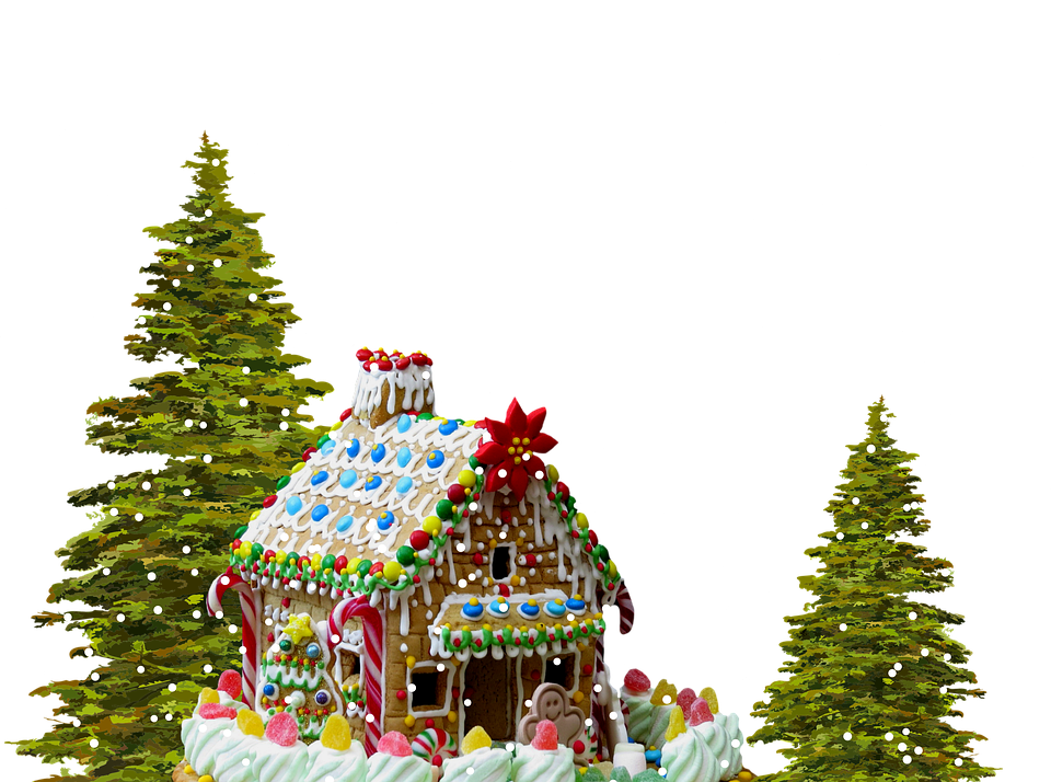 diy house