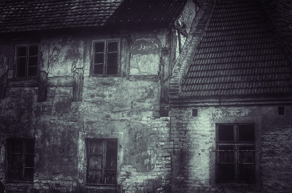 diy house