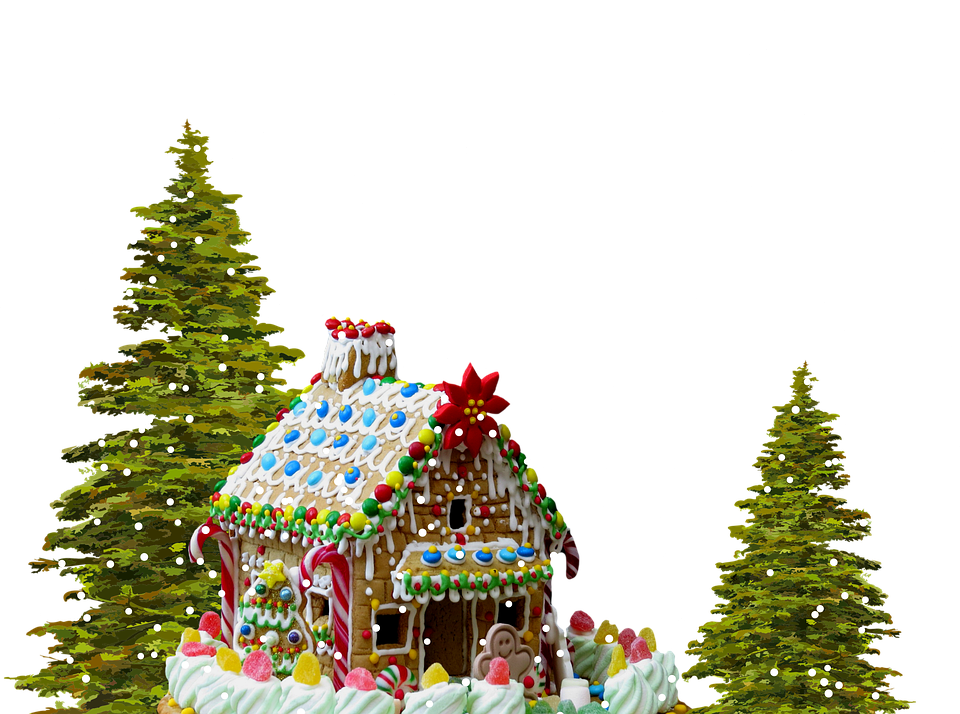 diy house