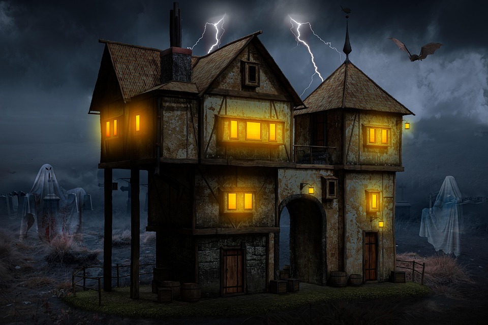 diy house