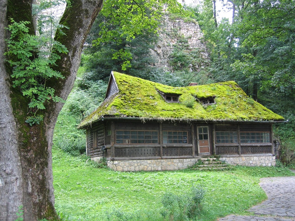diy house