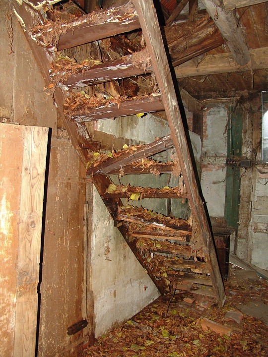 renovation