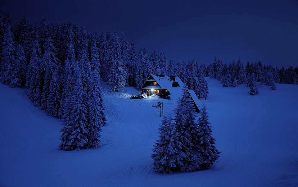 diy house
