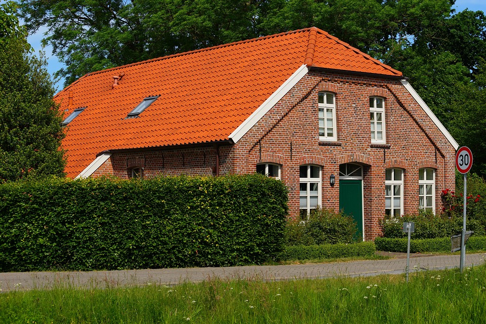 renovation