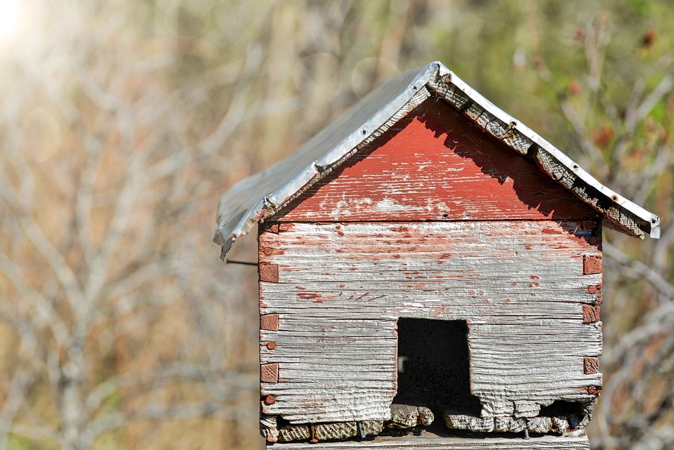 diy house