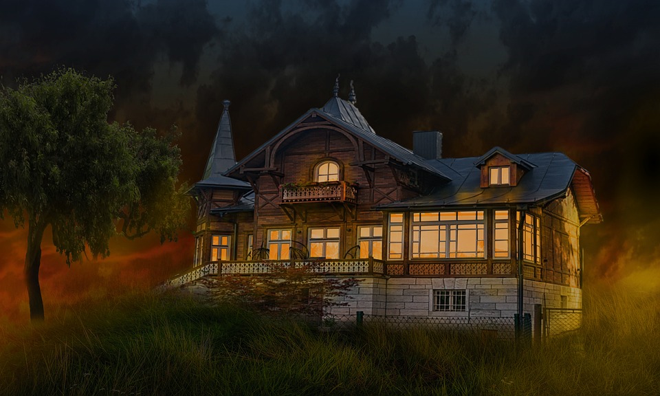 diy house